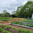 Bishopstown Community Garden