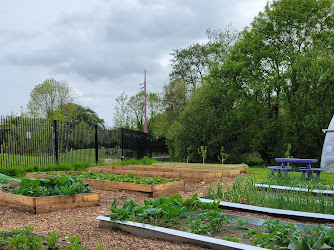 Bishopstown Community Garden