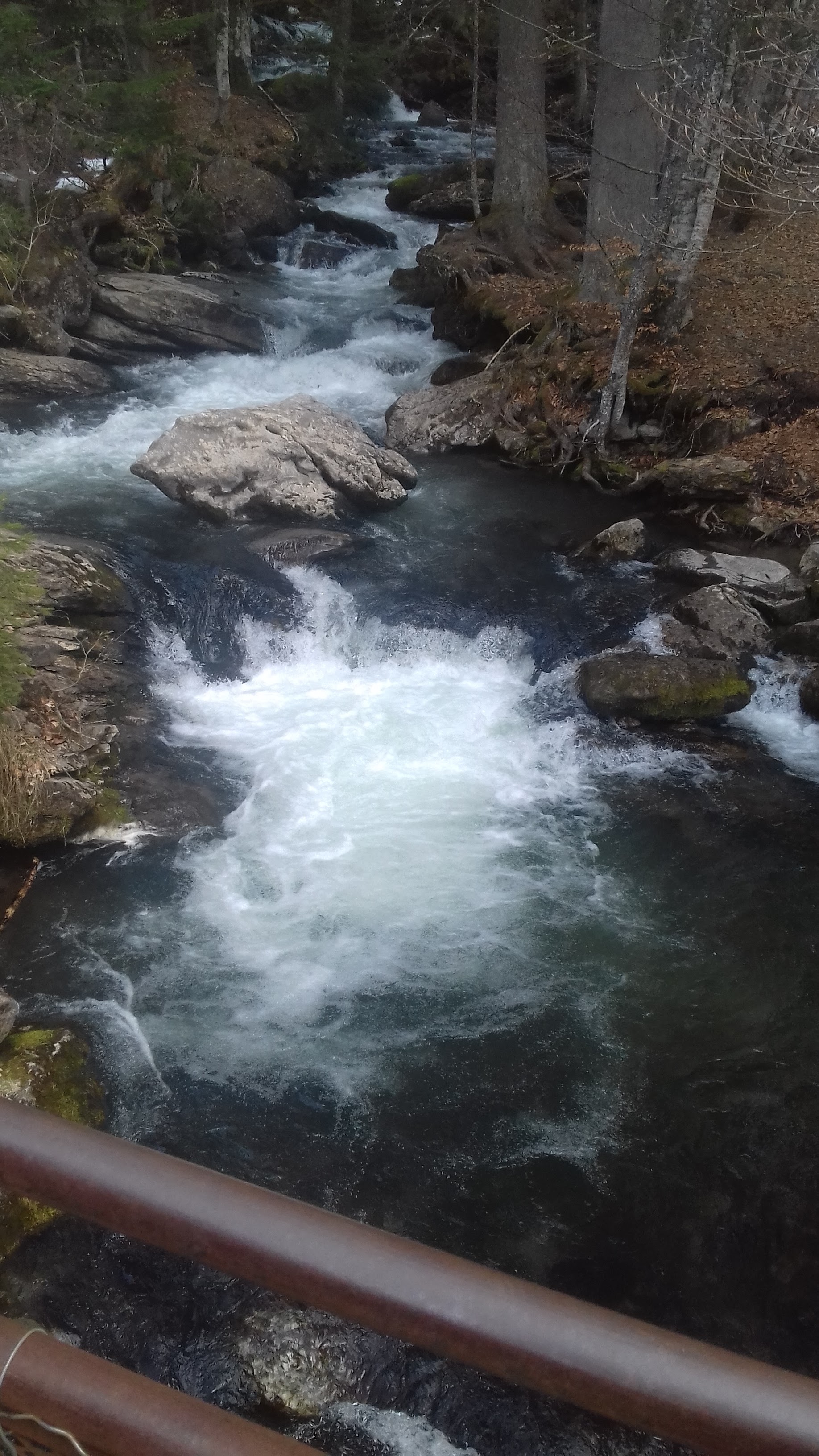 Photo n° 1 de l'avis de MrBassmoss. fait le 20/04/2019 à 18:19