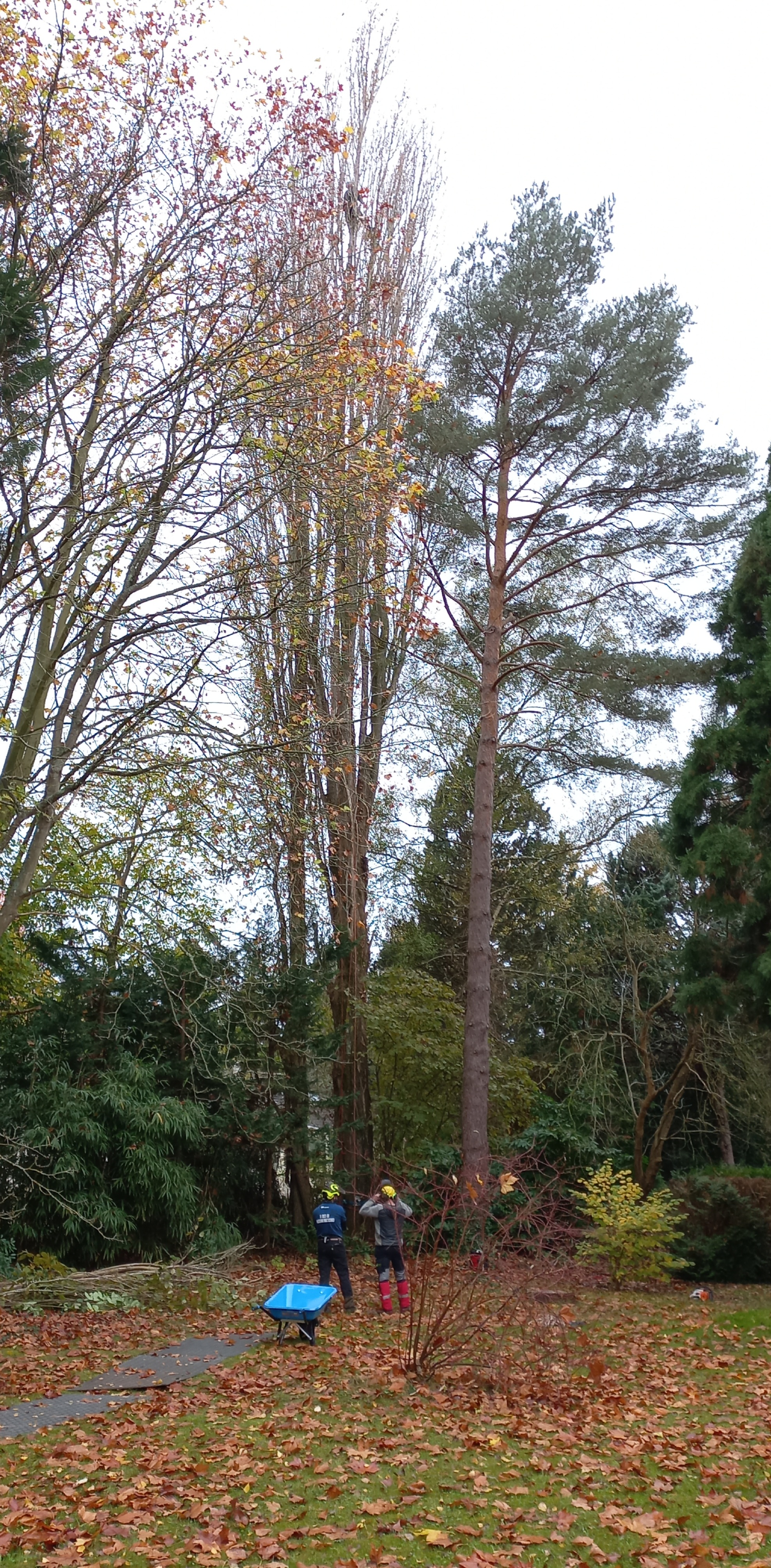 Photo n° 1 de l'avis de Dominique.u fait le 23/11/2022 à 14:53