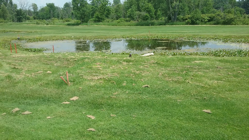Golf Course «Pine Hills Golf Course», reviews and photos, 6603 Woodbury Rd, Laingsburg, MI 48848, USA