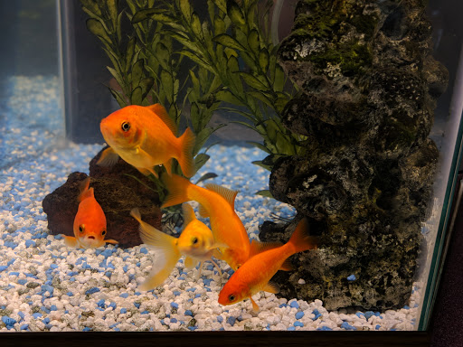 Bowling Alley «Stone Lanes», reviews and photos, 3746 Montgomery Rd # 2, Cincinnati, OH 45212, USA