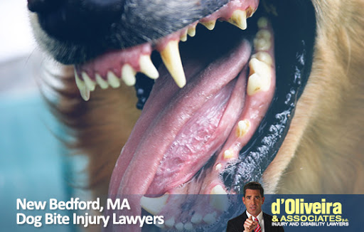 Personal Injury Attorney «dOliveira & Associates», reviews and photos
