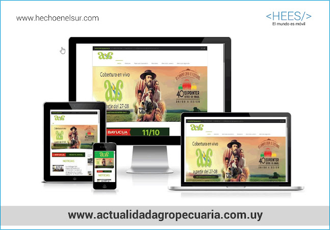 Hecho en el Sur - Diseñador de sitios Web