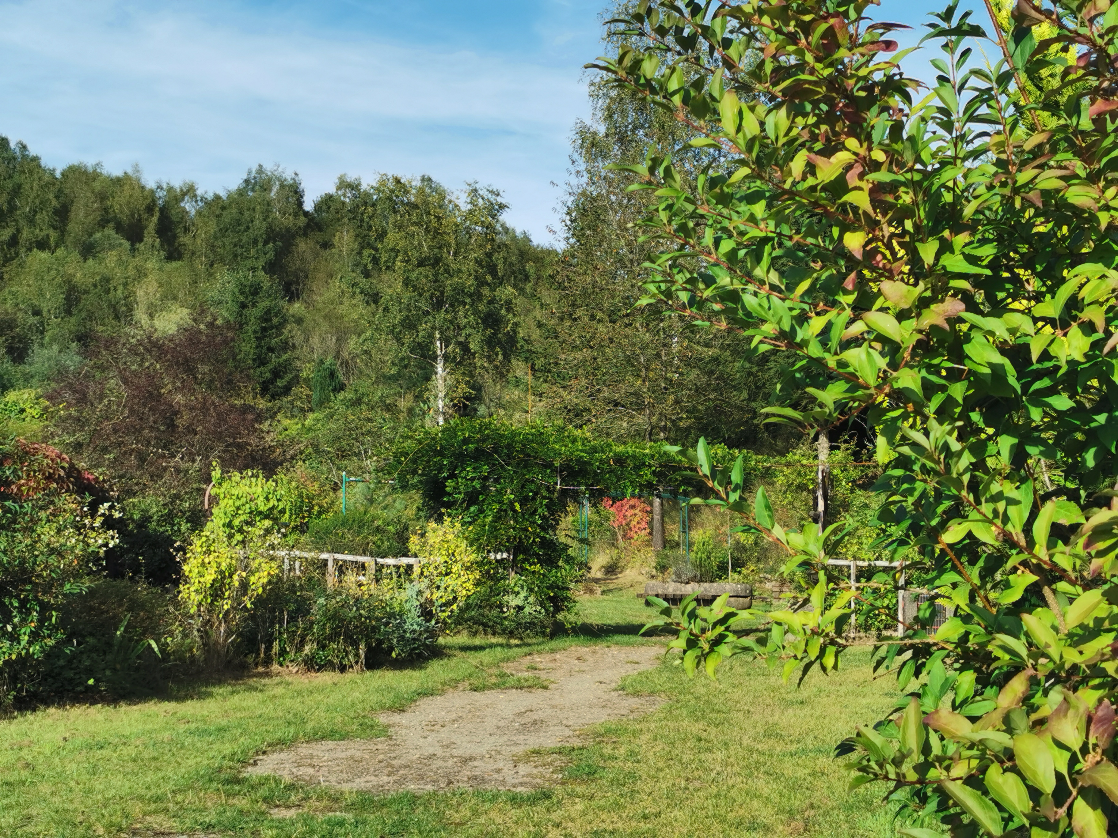 Photo n° 24 de l'avis de Phidis.a fait le 03/07/2019 à 17:43