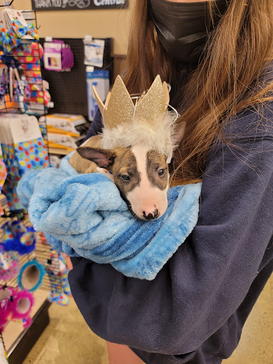 Pet Store «Pet Central», reviews and photos, 13004 SE Kent-Kangley Rd, Kent, WA 98030, USA