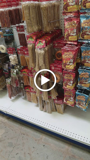 Discount Store «99 Cents Only Stores», reviews and photos, 23300 Valencia Blvd, Valencia, CA 91355, USA