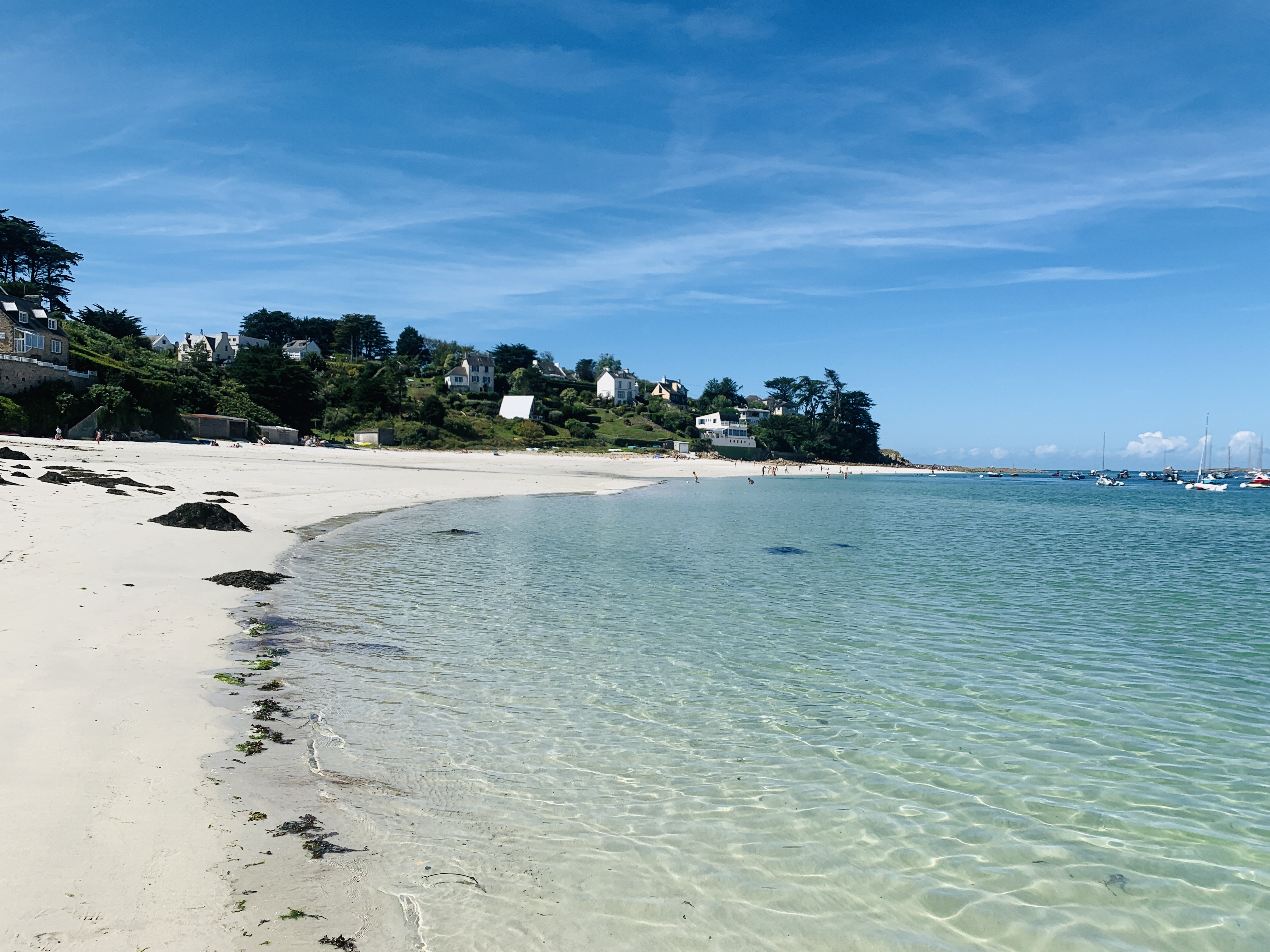 Photo n° 5 de l'avis de L..� fait le 15/08/2023 à 15:13