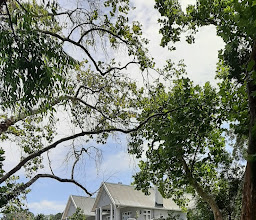 Parkes Manor photo