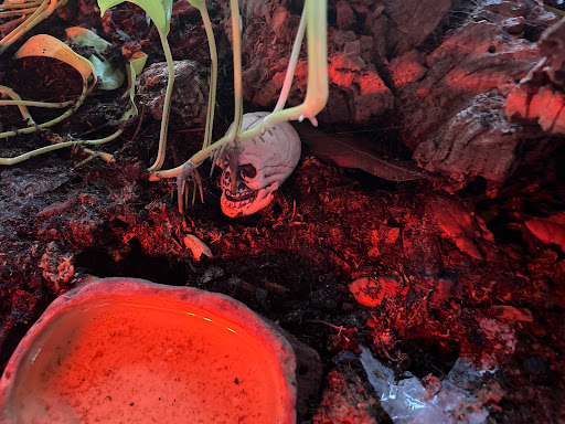 Tropical Fish Store «Glasscages.com LLC», reviews and photos, 1500 E Piney Rd, Dickson, TN 37055, USA