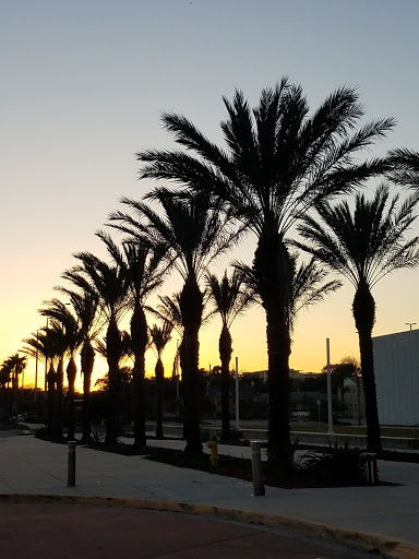 Convention Center «Ocean Center», reviews and photos, 101 N Atlantic Ave, Daytona Beach, FL 32118, USA