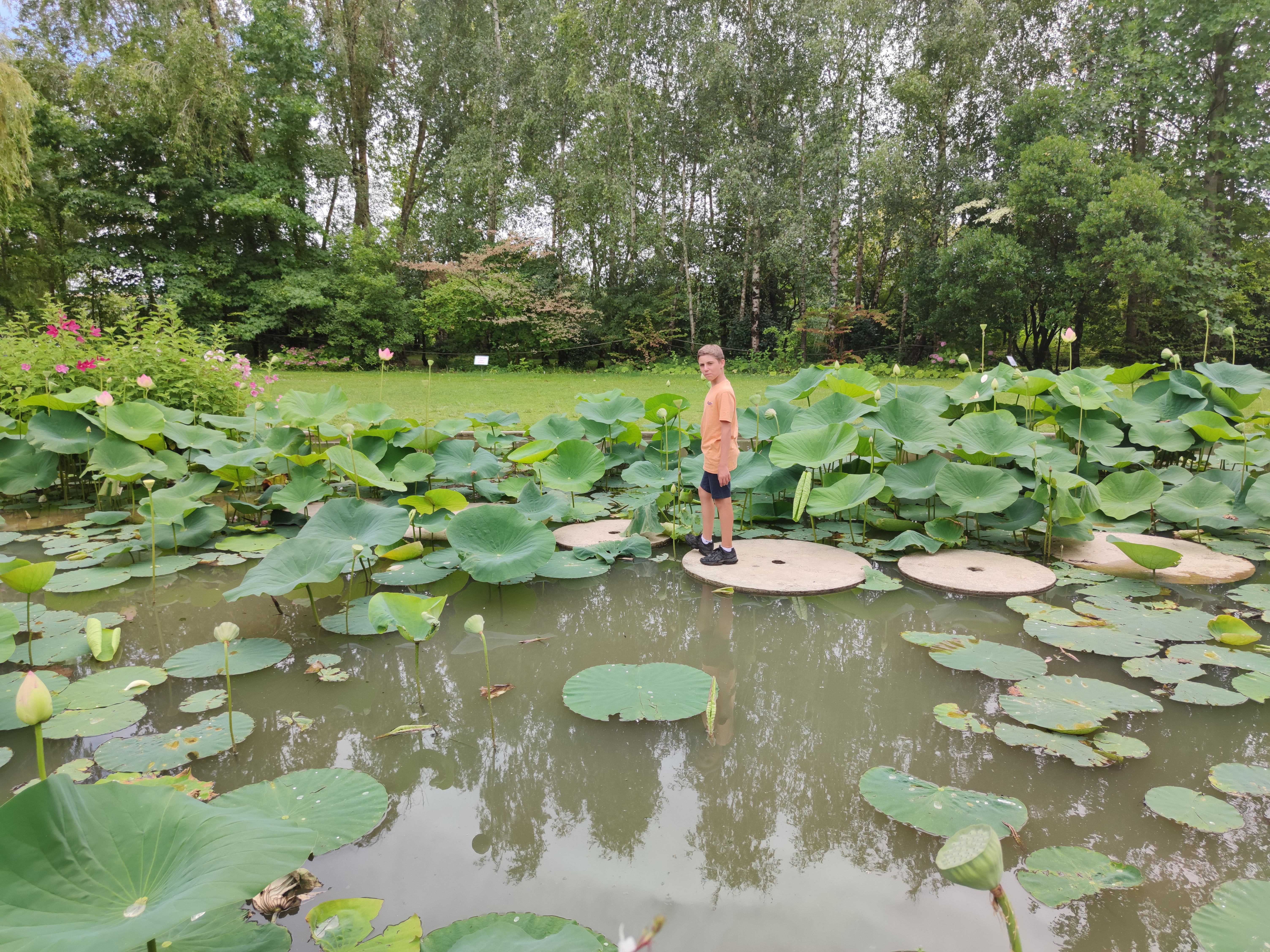 Photo n° 10 de l'avis de Renald.r fait le 16/07/2020 à 18:31