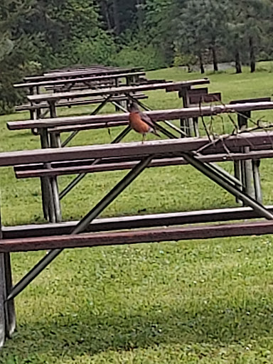 Park «Barton Park», reviews and photos, 19009 SE Barton Park Rd, Boring, OR 97009, USA