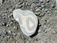 Blue J Landscape And Tree Service LLC - Photo 2 - Car repair in , Abilene