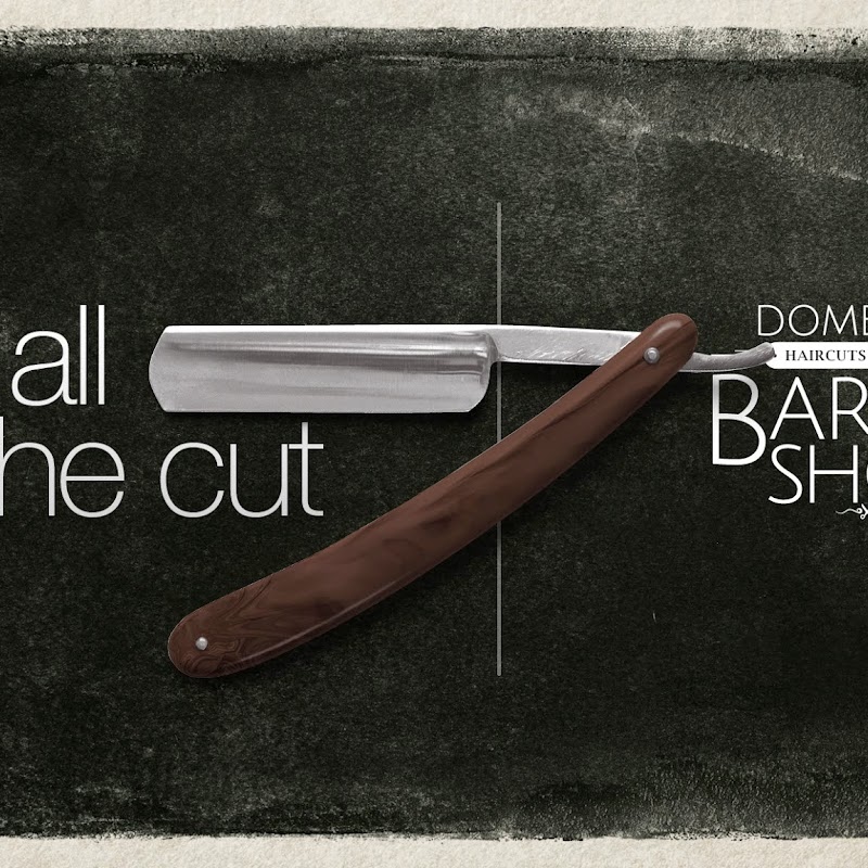 Domenic the Barber / Elmhurst Men's Hairstylist