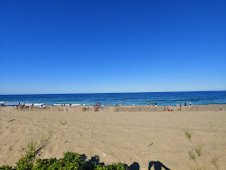Salisbury beach'in fotoğrafı çok temiz temizlik seviyesi ile