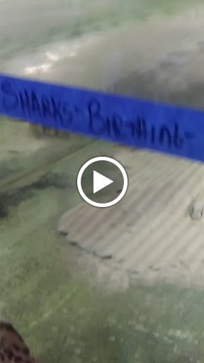 Tropical Fish Store «The Fish Store», reviews and photos, 2050 Chamblee Tucker Rd, Chamblee, GA 30341, USA