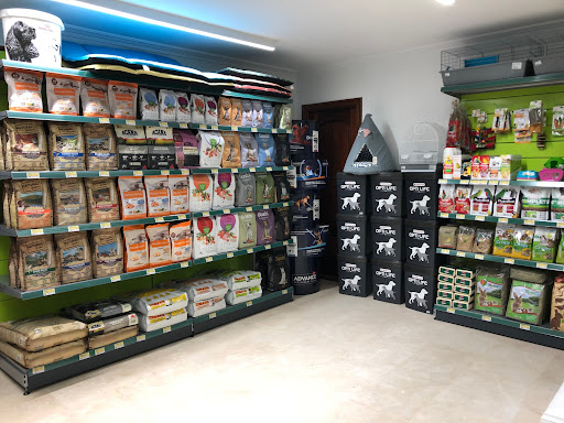 Interzoo en Zarautz, Guipúzcoa