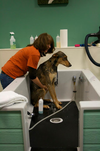 Pet Supply Store «Holistic Pet», reviews and photos, 13567 NW Cornell Rd, Portland, OR 97229, USA