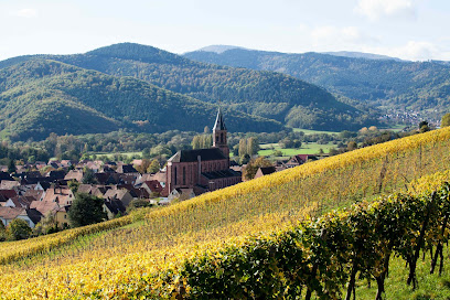 Vins d'Alsace Schoenheitz