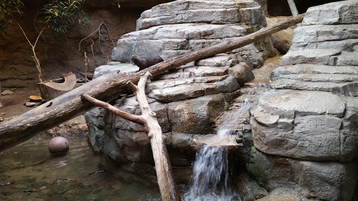 Zoo «Cleveland Metroparks Zoo», reviews and photos, 3900 Wildlife Way, Cleveland, OH 44109, USA