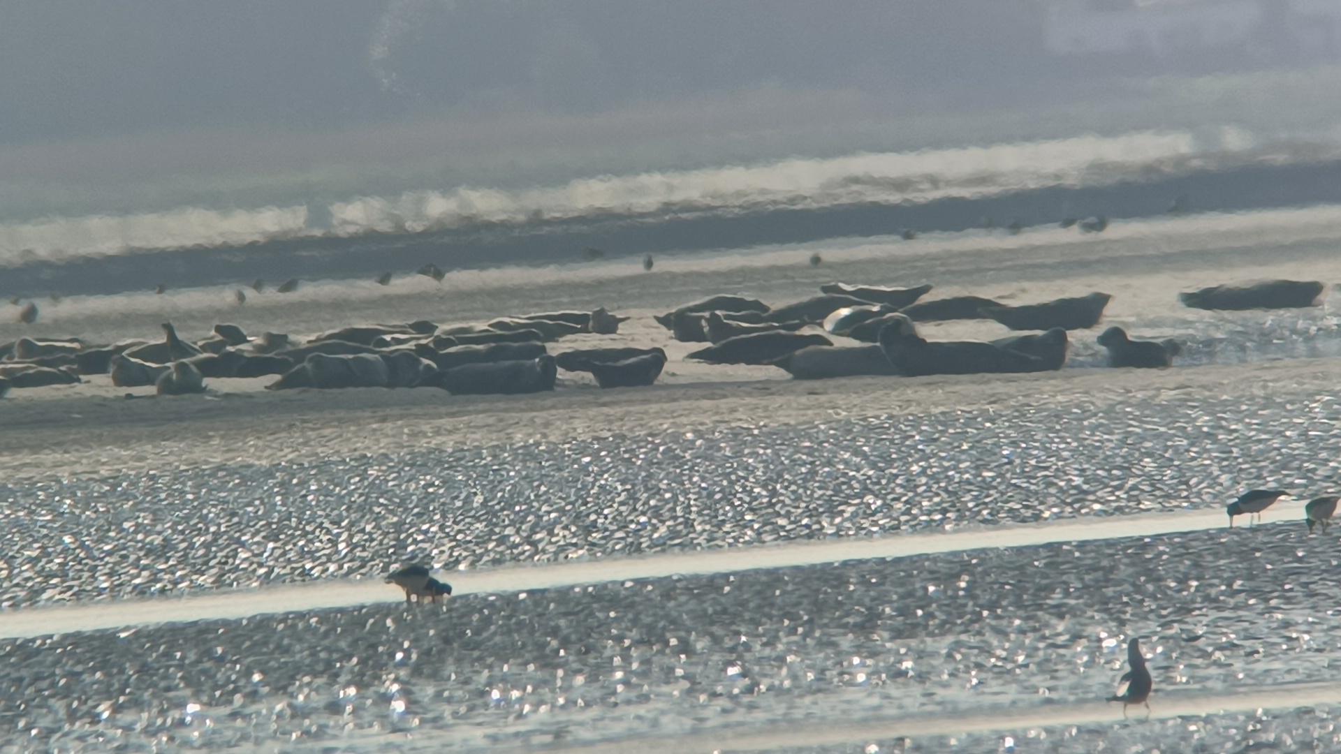 Photo n° 4 de l'avis de Javed.e fait le 12/03/2024 à 07:41