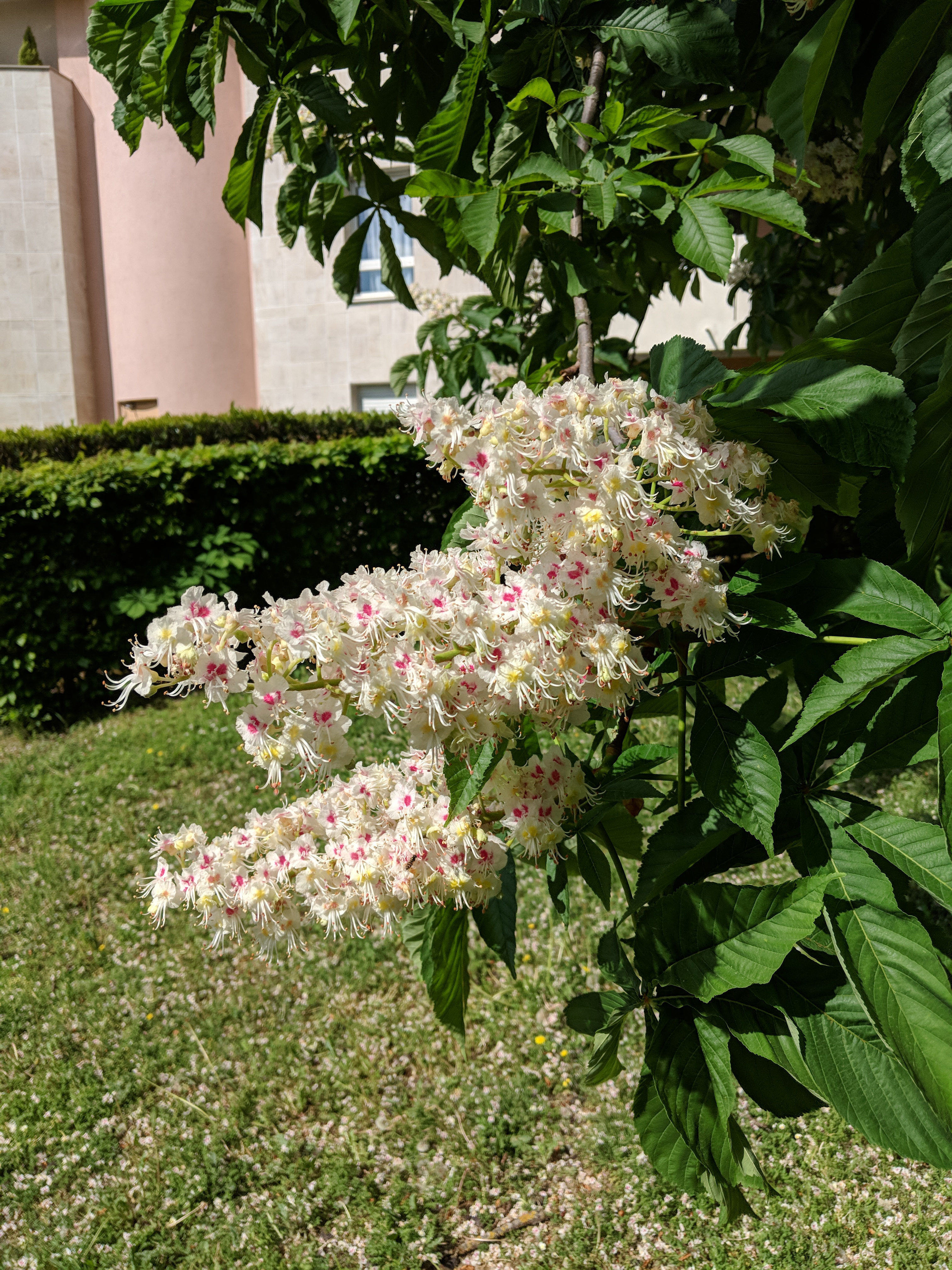 Photo n° 2 de l'avis de Jean-Michel.U fait le 01/05/2018 à 13:08