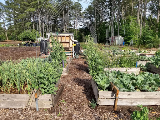 Garner Grows Urban community garden