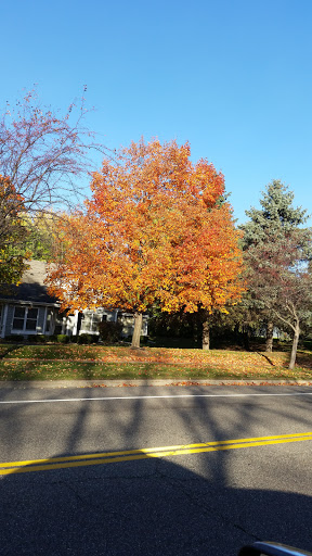 Public Golf Course «Apple Valley Golf Course», reviews and photos, 8661 140th St W, Apple Valley, MN 55124, USA