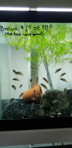 Pet Store «Alpha Pro Pets», reviews and photos, 2256 OH-59, Kent, OH 44240, USA