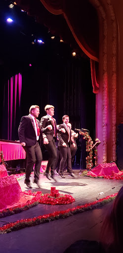 Performing Arts Theater «Sheldon Theatre», reviews and photos, 443 W 3rd St, Red Wing, MN 55066, USA