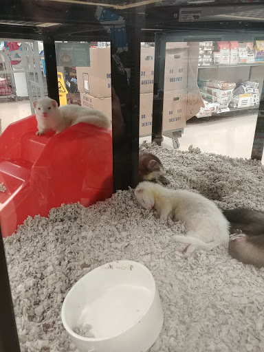 Pet Supply Store «Petco Animal Supplies», reviews and photos, 12641-310 Ocean Gateway, Ocean City, MD 21842, USA