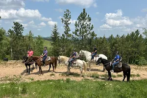 Andy's Trail Rides image
