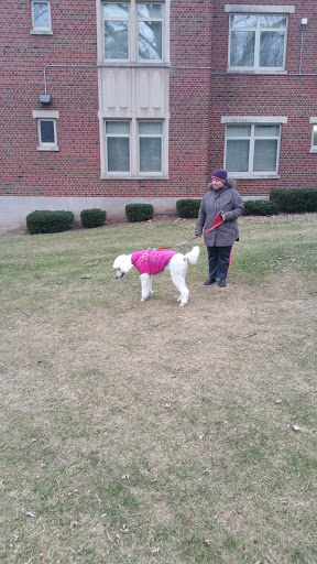 Golf Course «Irondequoit Country Club», reviews and photos, 4045 East Ave, Rochester, NY 14618, USA