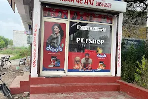 G.s pet shop Phillaur image