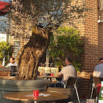 Photo n°7 de l'avis de Alessandra.a fait le 31/08/2019 à 07:19 sur le  L'Osteria Bornheim à Bornheim