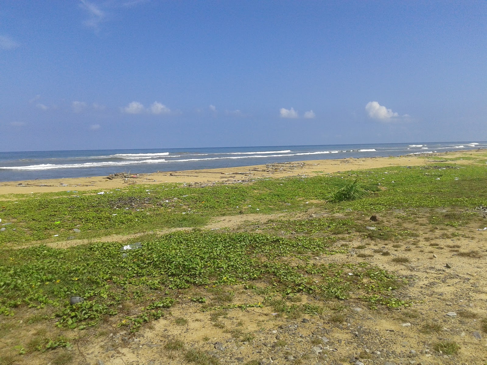 Pothupitiya Beach photo #8