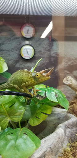 Pet Supply Store «Petco Animal Supplies», reviews and photos, 4915 E 41st St C, Tulsa, OK 74135, USA