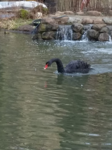 Tourist Attraction «Cleveland Zoo Train Station», reviews and photos, Wildlife Way, Cleveland, OH 44109, USA