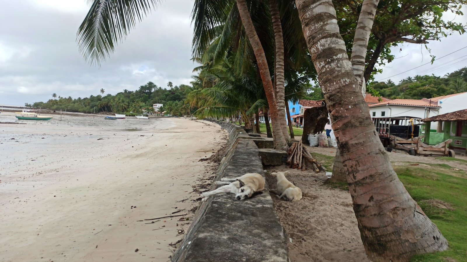 Foto de Praia Cova Da Onca - lugar popular entre os apreciadores de relaxamento