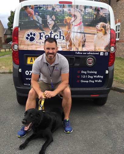 Fetch Dog Walking & Training Ltd