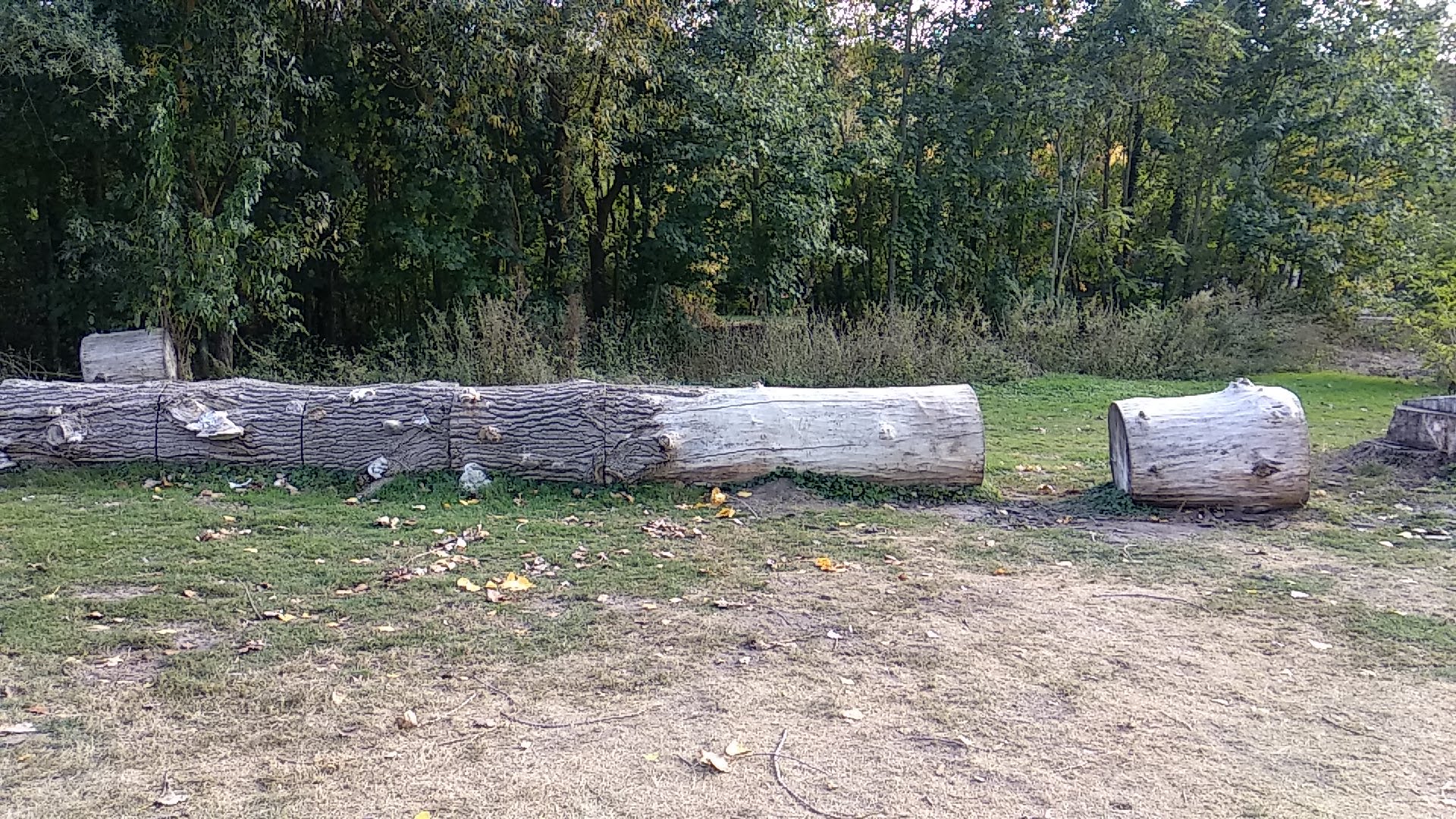 Photo n° 15 de l'avis de Timotée.r fait le 06/10/2018 à 13:14