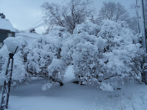 Museum «Rock Hall Museum», reviews and photos, 199 Broadway, Lawrence, NY 11559, USA