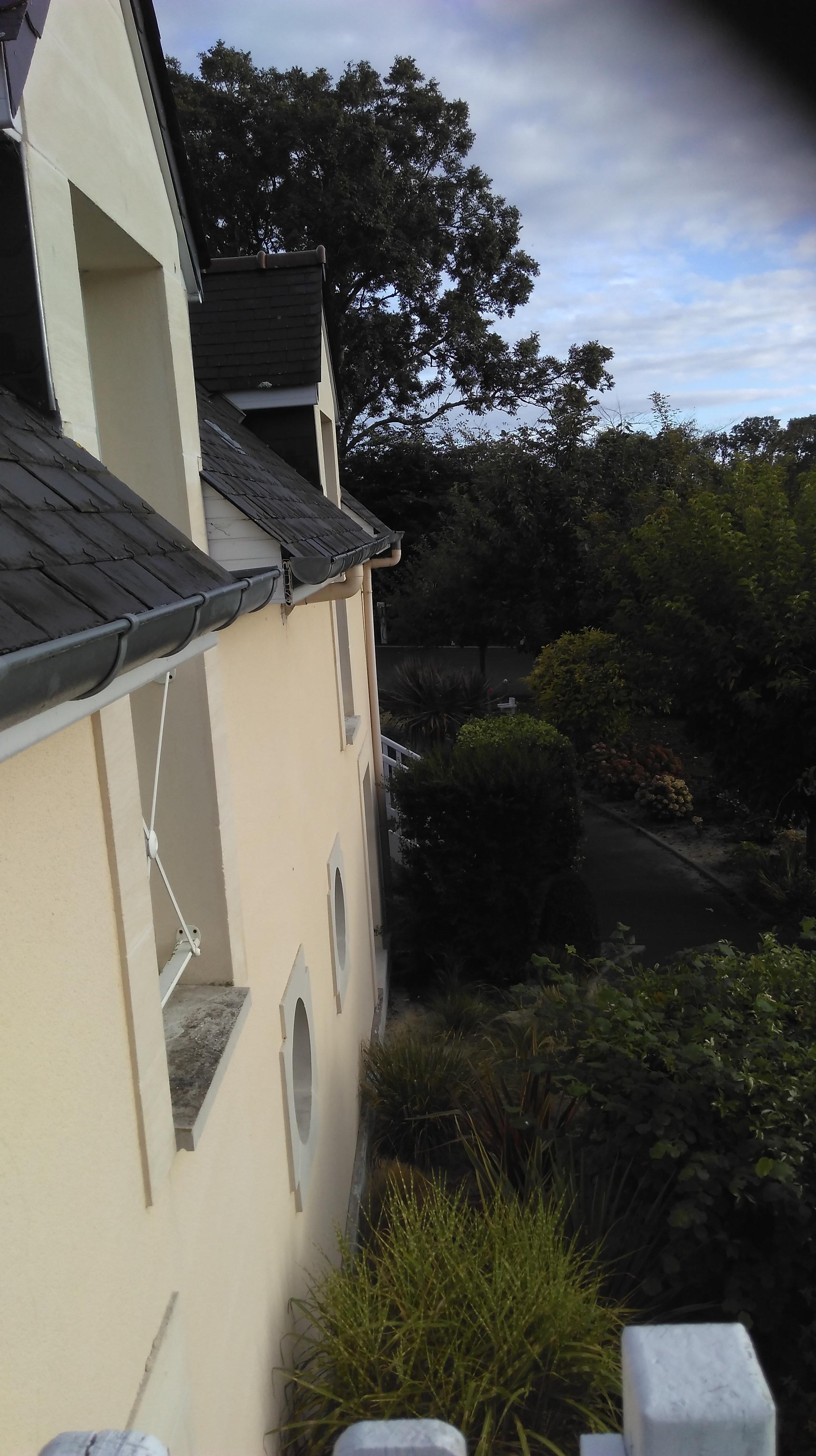 Photo n° 1 de l'avis de Seppe.e fait le 08/09/2018 à 06:48