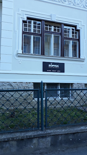 Sophia- Sibiu, Calea Dumbravii, nr 33 - Magazin de geamuri