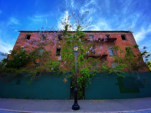 Museum «National Lighthouse Museum», reviews and photos, 200 The Promenade at Lighthouse Point, Staten Island, NY 10301, USA