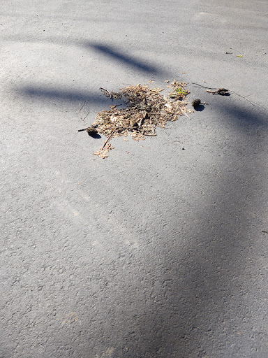 Motorcycle Repair Shop «1Up Motorsports», reviews and photos, 645 N 1st St, Dixon, CA 95620, USA