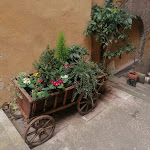 Photo n°1 de l'avis de Alessandra.a fait le 06/04/2024 à 03:02 sur le  Taverna Del Verziere à Montone