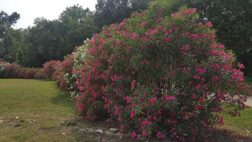 Hotel «Hilton Garden Inn Tyler», reviews and photos, 220 E Grande Blvd, Tyler, TX 75703, USA