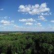 Blue Rock State Forest